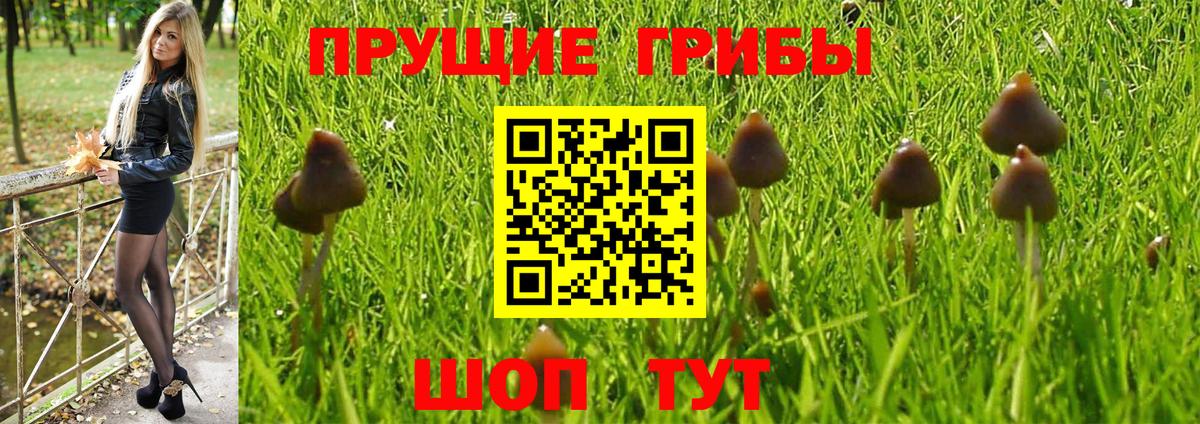 Псилоцибиновые грибы Magic Shrooms Саранск