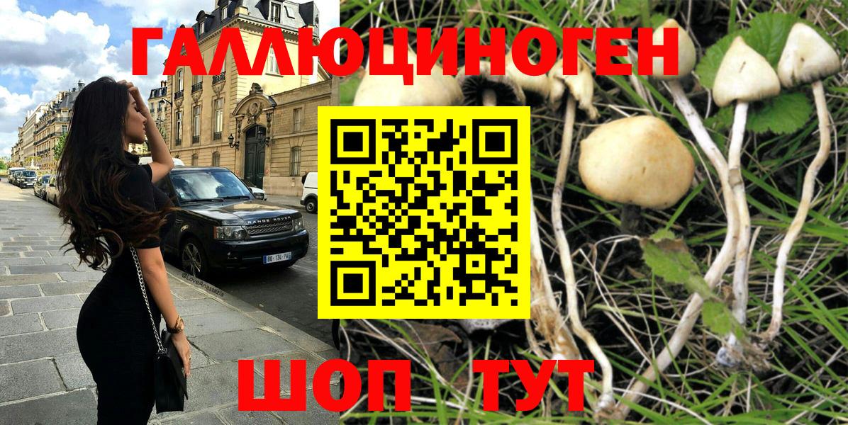 Галлюциногенные грибы Cubensis  Вход с VPN  Галлюциногенные грибы Cubensis  Саранск 